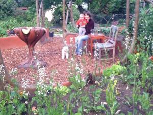 in the raised bed december 13